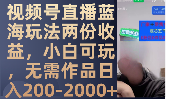 （7635期）微信视频号直播间瀚海游戏玩法二份盈利，新手好玩，不用著作日入200-2000-韬哥副业项目资源网