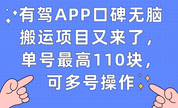 （7314期）有驾APP用户评价没脑子运送新项目再次来了，运单号最大110块，可以多号实际操作-韬哥副业项目资源网