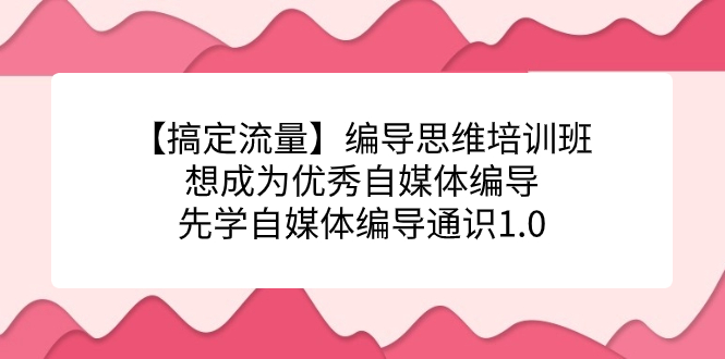 （7281期）【解决总流量】导演逻辑思维培训机构，要成为出色自媒体平台导演先学自媒体编导通识类1.0-韬哥副业项目资源网