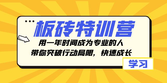 （8048期）砖头夏令营，用一年时间变成专业人，陪你突破行动局限性，快速增长-暖阳网-优质付费教程和创业项目大全-韬哥副业项目资源网