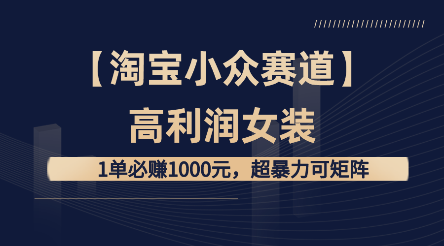 （8608期）【淘宝小众赛道】高利润女装：1单必赚1000元，超暴力可矩阵-韬哥副业项目资源网