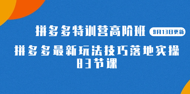 （7295期）2023拼多多平台·夏令营高级班【9月13日升级】拼多多最新技巧攻略落地式实际操作-83节-韬哥副业项目资源网