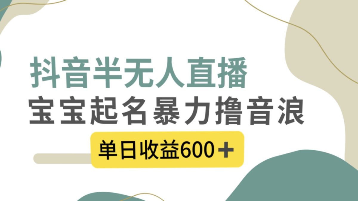 （8192期）抖音半无人直播，宝宝起名，暴力撸音浪，单日收益600+-暖阳网-优质付费教程和创业项目大全-韬哥副业项目资源网