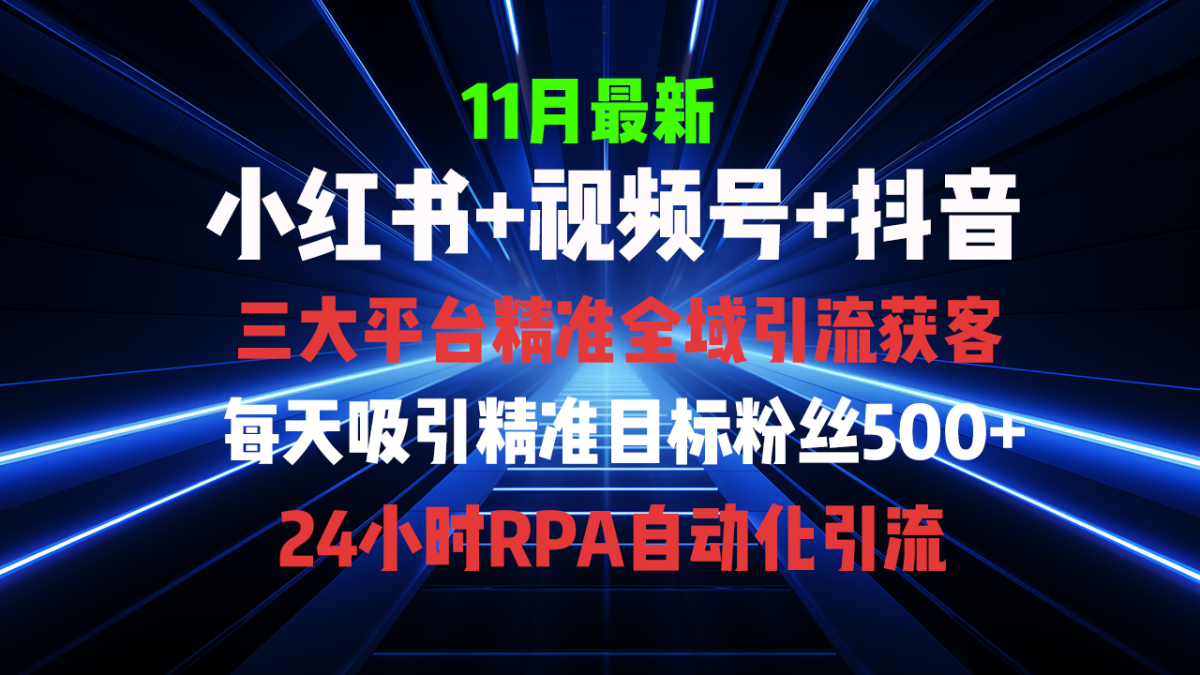 （13259期）全域多平台引流私域打法，小红书，视频号，抖音全自动获客，截流自…-韬哥副业项目资源网