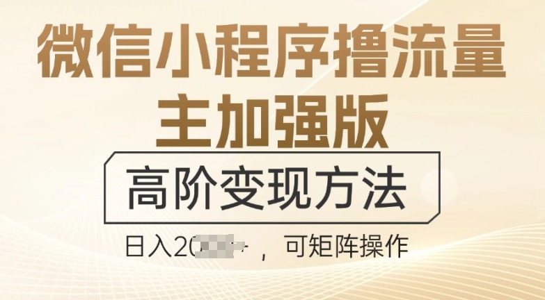 微信小程序撸流量主加强版，高阶变现方法，日收益多张-韬哥副业项目资源网