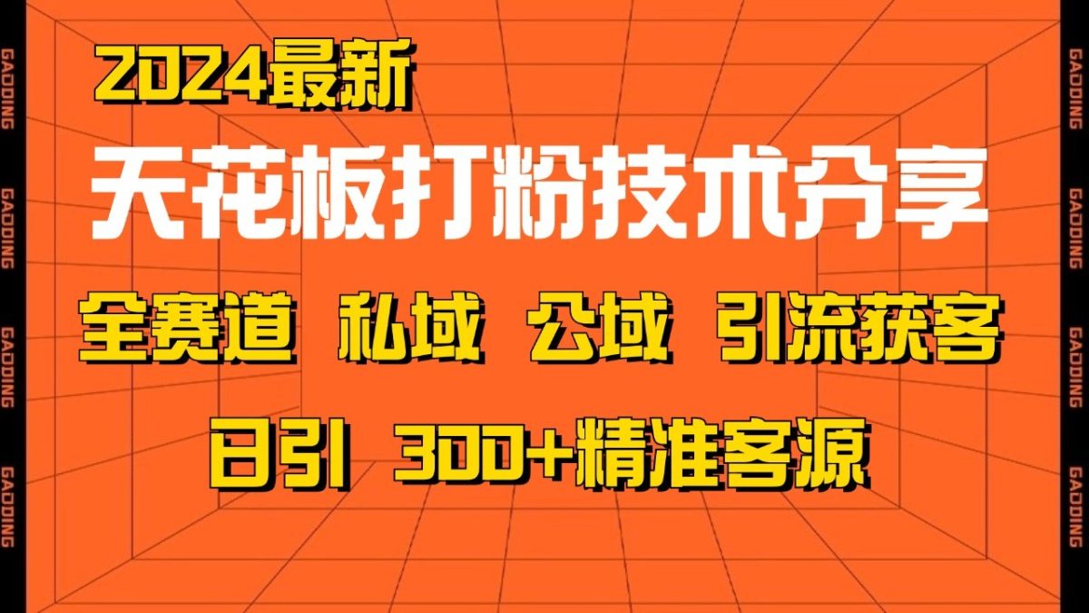 天花板打粉技术分享，野路子玩法 曝光玩法免费矩阵自热技术日引2000+精准客户-韬哥副业项目资源网