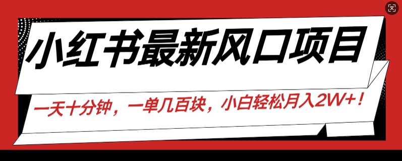 小红书最新风口项目，一天只用10分钟，一单几百块，小白简单无脑操作!-韬哥副业项目资源网