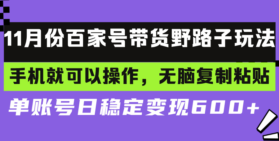 （13281期）百家号带货野路子玩法 手机就可以操作，无脑复制粘贴 单账号日稳定变现…-韬哥副业项目资源网