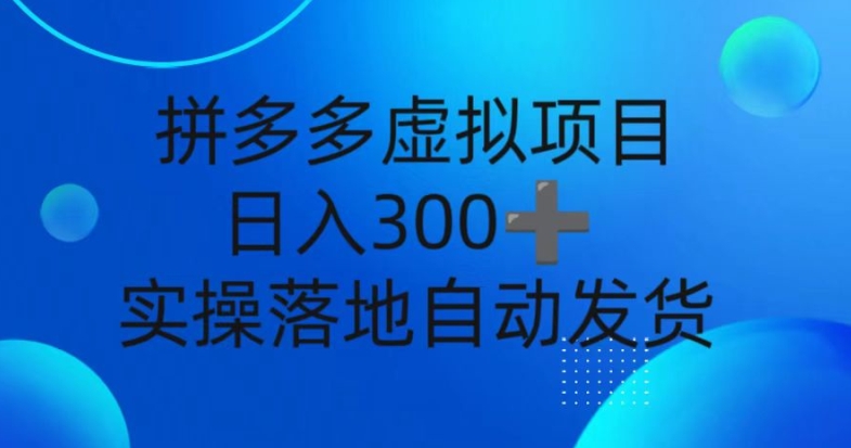 拼多多平台虚拟资源项目，新手日入3张，自动发卡密，实际操作落地式可大批量变大-韬哥副业项目资源网