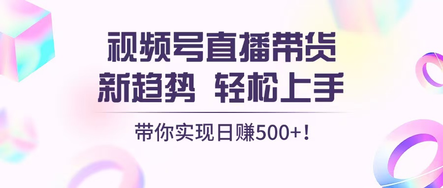（13370期）视频号直播带货新趋势，轻松上手，带你实现日赚500+-韬哥副业项目资源网