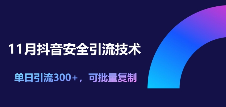 11月抖音安全引流技术，单日引流方法300 ，可快速复制-韬哥副业项目资源网