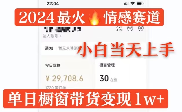 2024最红情绪跑道单月转现破万，多平台分发，100%原创设计游戏玩法，新手当日入门-韬哥副业项目资源网