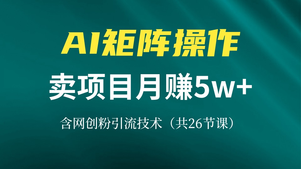 （13335期）网创IP打造出课，依靠AI卖项目月赚5万 ，含引流技术（共26堂课）-韬哥副业项目资源网