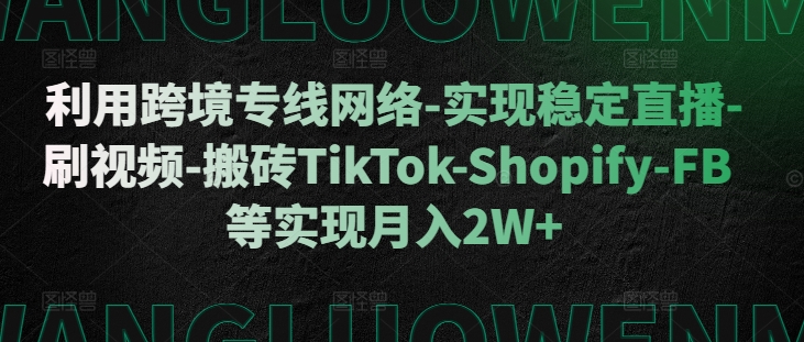 运用跨境专线互联网-实现稳定直播间-刷短视频-打金TikTok-Shopify-FB等实现月入2W 【揭密】-韬哥副业项目资源网