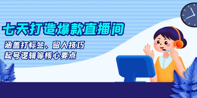 （13382期）七天打造爆款直播间：涵盖打标签、留人技巧、起号逻辑等核心要点-韬哥副业项目资源网