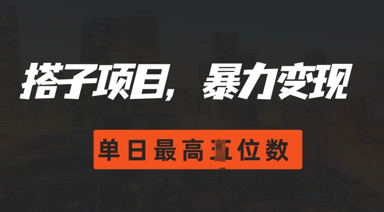 2024搭子玩法，0门槛，暴力变现，单日最高破四位数【揭秘】-韬哥副业项目资源网