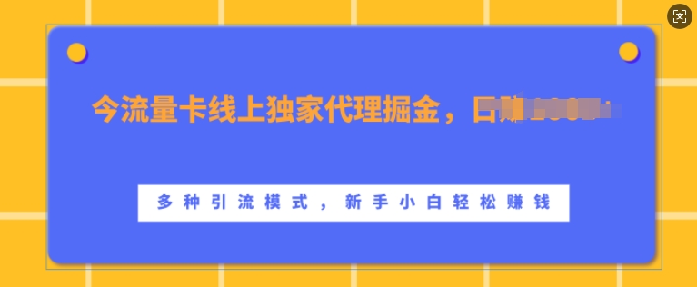 上网卡网上独家经营掘金队，日入1k ，多种多样引流方法方式，新手入门快速上手【揭密】-韬哥副业项目资源网