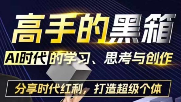高手的黑箱：AI时代学习、思考与创作-分红时代红利，打造超级个体-韬哥副业项目资源网
