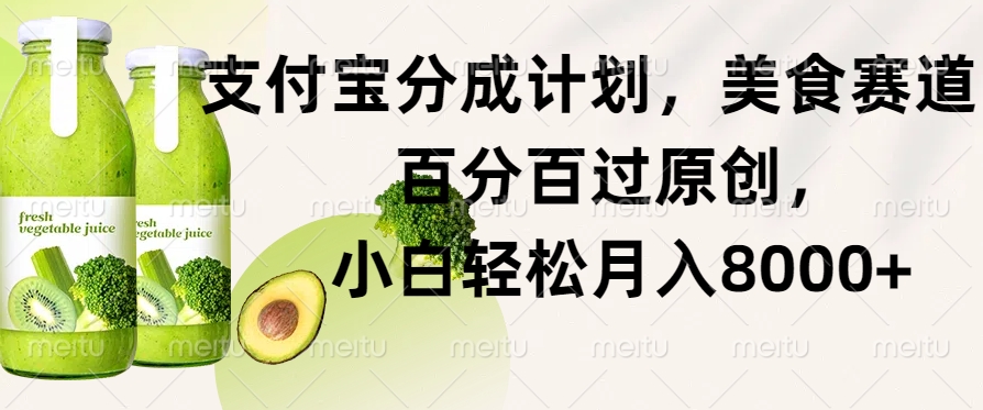 支付宝钱包分为方案，特色美食跑道，百分之百过原创设计，新手轻轻松松月入8000-韬哥副业项目资源网