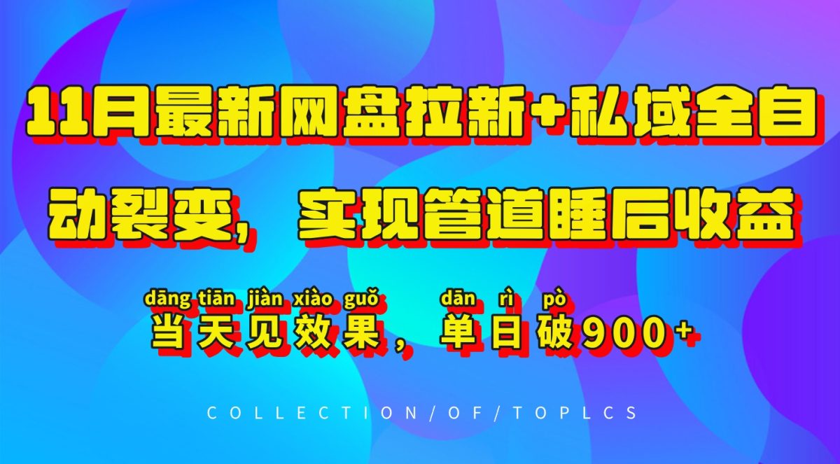 11月最新网盘引流 公域自动式裂变式，完成管路睡后盈利，当日见实际效果，单日破900-韬哥副业项目资源网