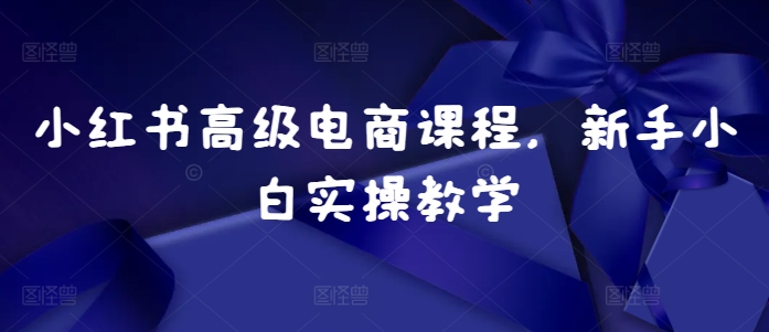 小红书高级电商课程，新手小白实操教学-韬哥副业项目资源网