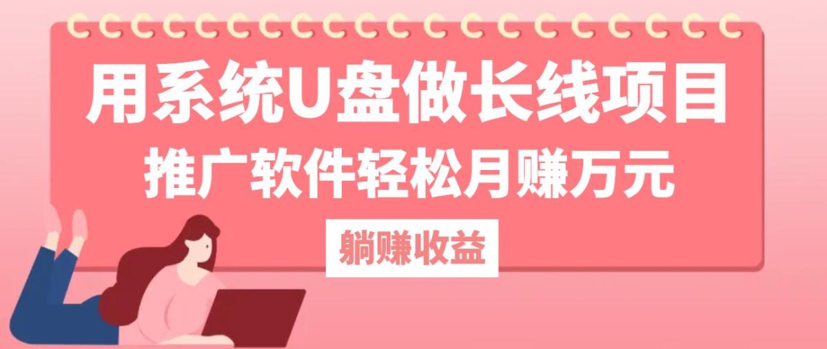 用系统U盘做长线项目，推广软件轻松月赚万元-韬哥副业项目资源网