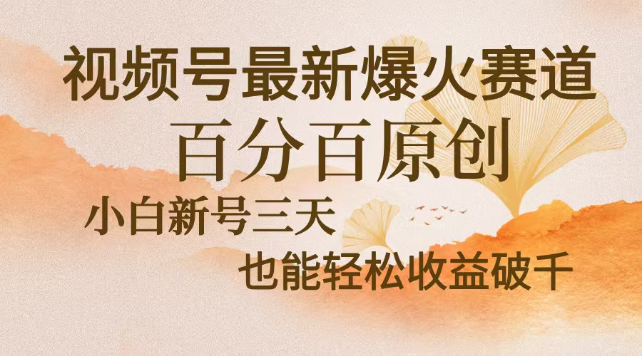 （13225期）视频号最新爆火赛道，中老年粉深信不疑，百分百原创，新号三天收益轻松…-韬哥副业项目资源网