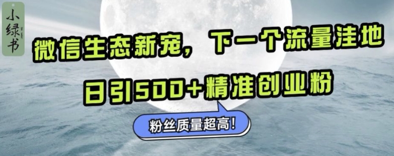 微信生态圈新欢小绿书：下一个流量洼地，日引500 精确自主创业粉，粉丝们品质极高-韬哥副业项目资源网