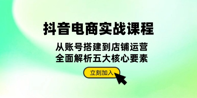 （13350期）抖音视频 电子商务实战演练课程内容：从账户构建到店铺管理，深度剖析五大核心因素-韬哥副业项目资源网