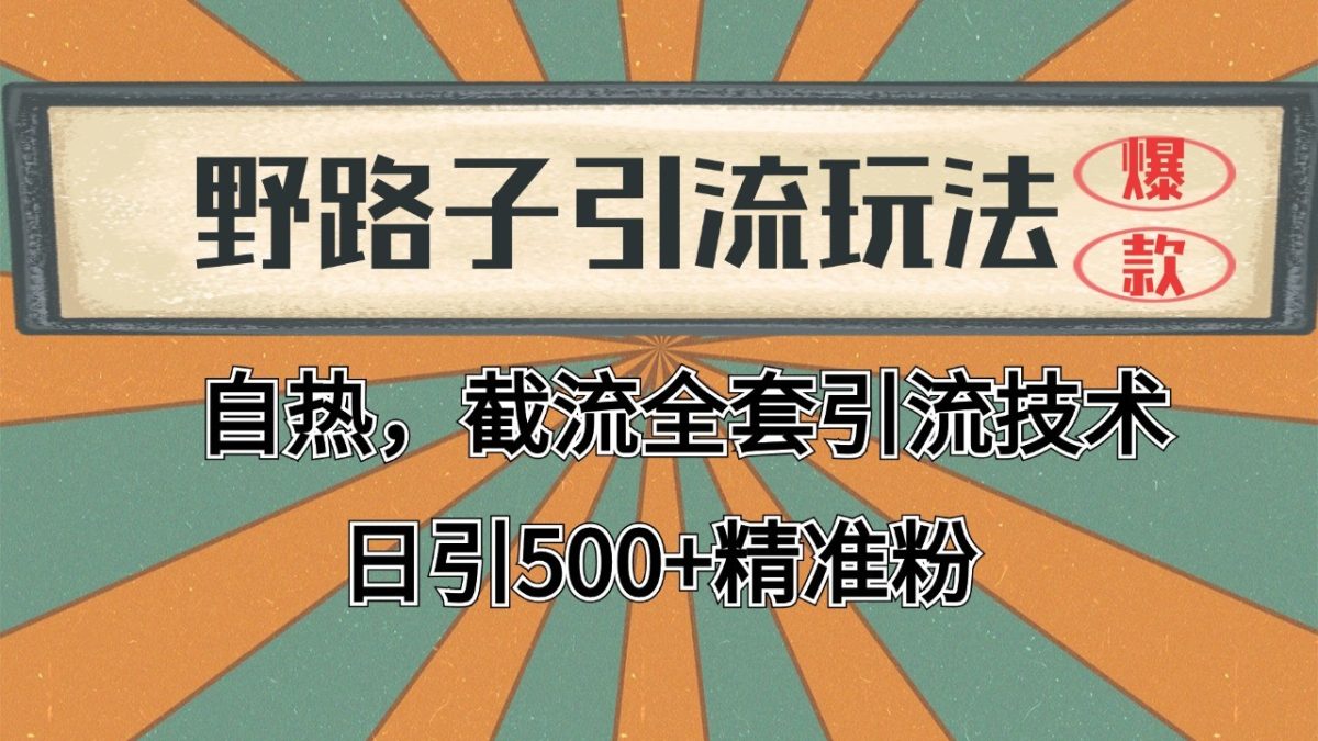 抖音小红书视频号全平台引流打法，全自动引流日引2000+精准客户-韬哥副业项目资源网