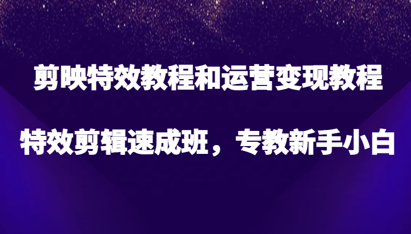 剪辑软件特效教程和经营转现实例教程，特效剪辑短期培训班，专教新手入门-韬哥副业项目资源网