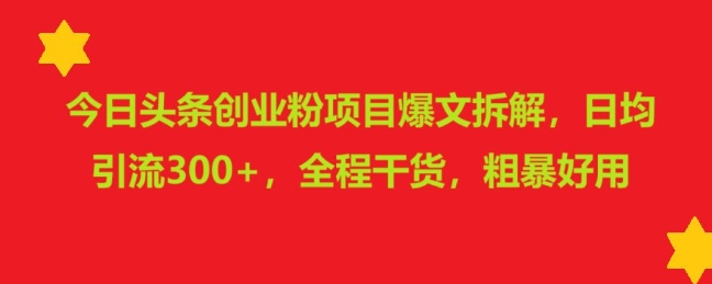 今日头条创业粉项目爆文拆解，日均引流300+，全程干货，粗暴好用-韬哥副业项目资源网