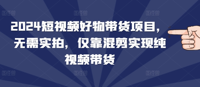 2024短视频好物带货项目，无需实拍，仅靠混剪实现纯视频带货-韬哥副业项目资源网