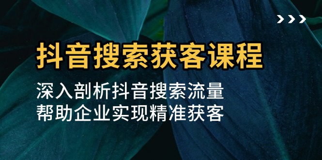 （13465期）抖音搜索获客课程：深入剖析抖音搜索流量，帮助企业实现精准获客-韬哥副业项目资源网