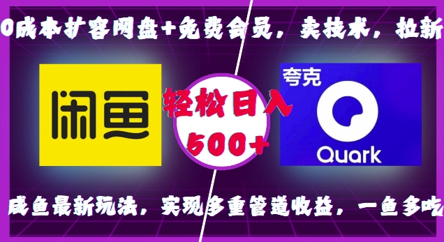 0成本扩容网盘+免费会员，卖技术，拉新，咸鱼最新玩法，实现多重管道收益，一鱼多吃，轻松日入500+-韬哥副业项目资源网