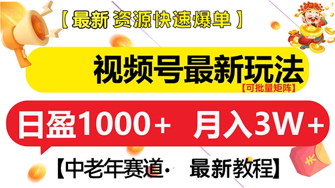 （13530期）视频号最新玩法 中老年赛道 月入3W+-韬哥副业项目资源网