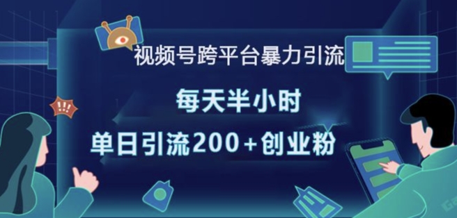 视频号跨平台暴力引流，每天半小时，单日引流200+精准创业粉-韬哥副业项目资源网