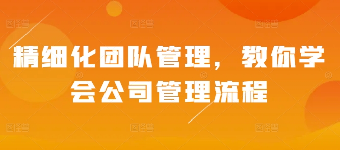 精细化团队管理，教你学会公司管理流程-韬哥副业项目资源网