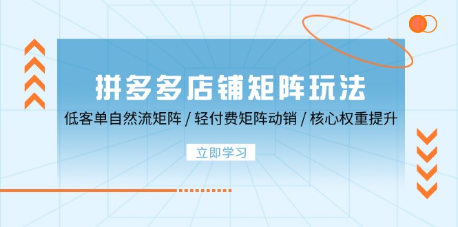 拼多多店铺矩阵玩法：低客单自然流矩阵 / 轻付费矩阵 动销 / 核心权重提升-韬哥副业项目资源网