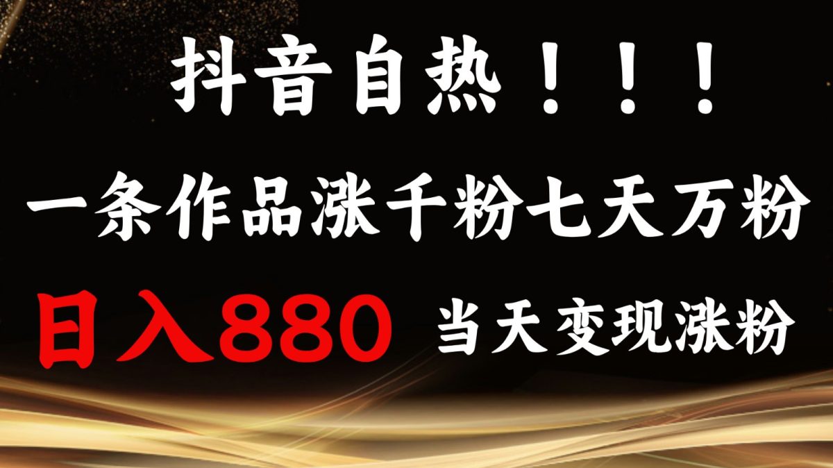 抖音小红书自然，一条著作1000粉，7天万粉，单日转现880盈利-韬哥副业项目资源网