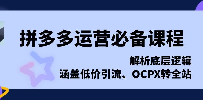 （13700期）拼多多运营必备课程，解析底层逻辑，涵盖低价引流、OCPX转全站-韬哥副业项目资源网