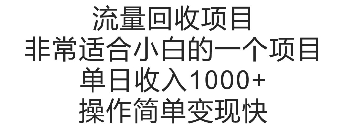 流量回收项目，非常适合小白的一个项目单日收入多张，操作简单变现快-韬哥副业项目资源网