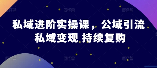 公域升阶实操课，公域流量引流方法 私域变现 不断回购-韬哥副业项目资源网