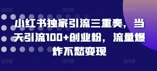 小红书独家引流三重奏，当天引流100+创业粉，流量爆炸不愁变现【揭秘】-韬哥副业项目资源网