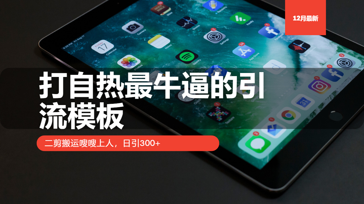 （13654期）打自热最牛逼的引流模板，二剪搬运嗖嗖上人，日引300+-韬哥副业项目资源网