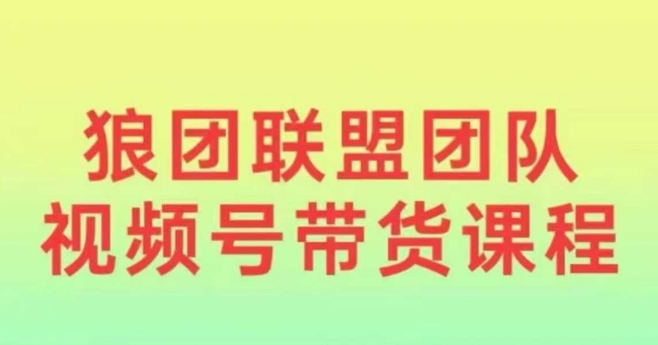 狼团联盟2024视频号带货，0基础小白快速入局视频号-韬哥副业项目资源网