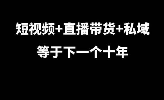 短视频+直播带货+私域等于下一个十年，大佬7年实战经验总结-韬哥副业项目资源网