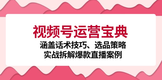 视频号运营宝典：涵盖话术技巧、选品策略、实战拆解爆款直播案例-韬哥副业项目资源网