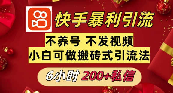 利用快手平台6小时不到200+私信，不发视频不养号-韬哥副业项目资源网