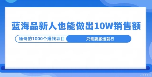 这个蓝海品，新号也能卖出10W的销售额，年底疯狂怼量就能出结果-韬哥副业项目资源网